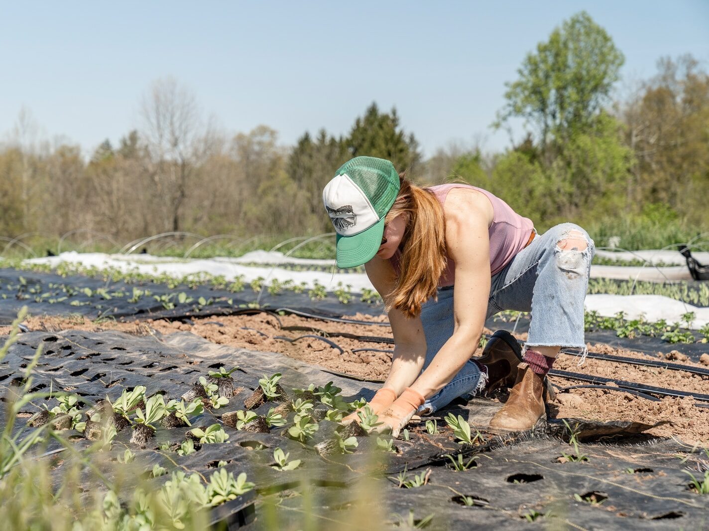 Nabídka brigád i tento rok překoná poptávku. Ta je stále nízká
