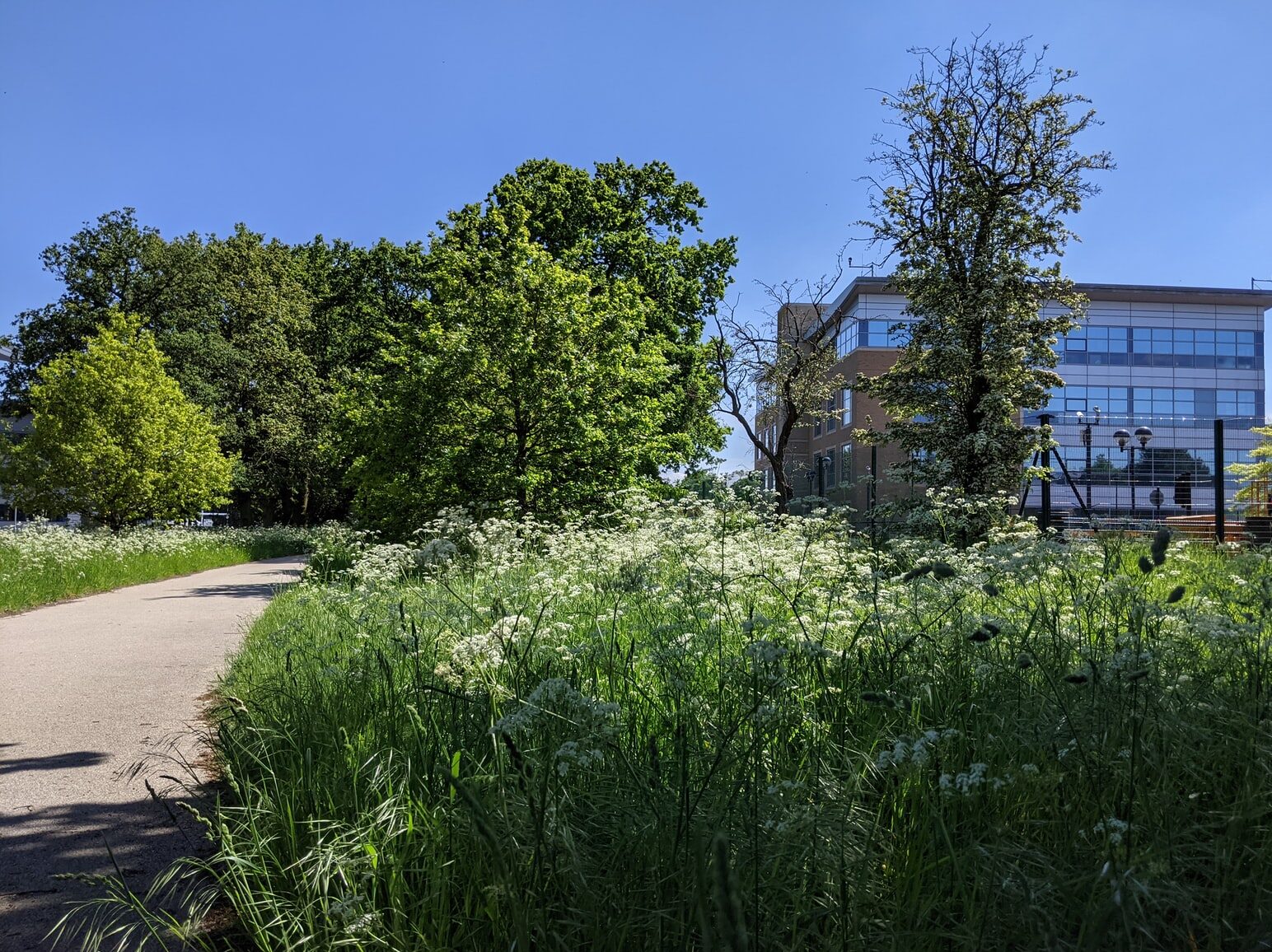 Vláda schválila záměr vybudovat u Plzně podnikatelský park pro průmysl