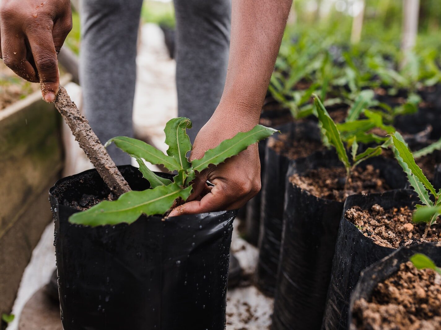 V Česku začala mezinárodní agrovýstava Země živitelka