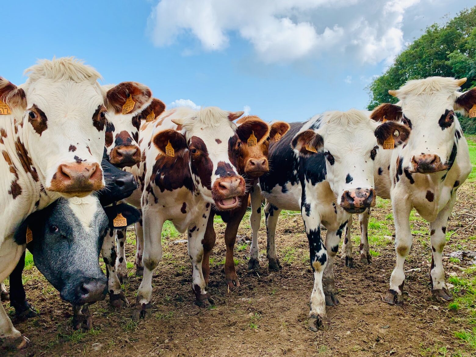 Bill Gates investuje do australského startupu. Přinese tato společnost revoluci v zemědělství?