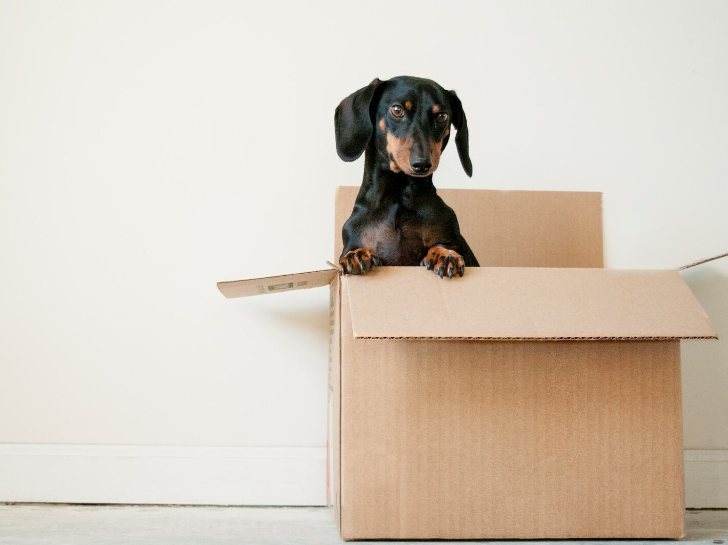 Vyklízení pozůstalosti v Praze funguje jako služba na klíč