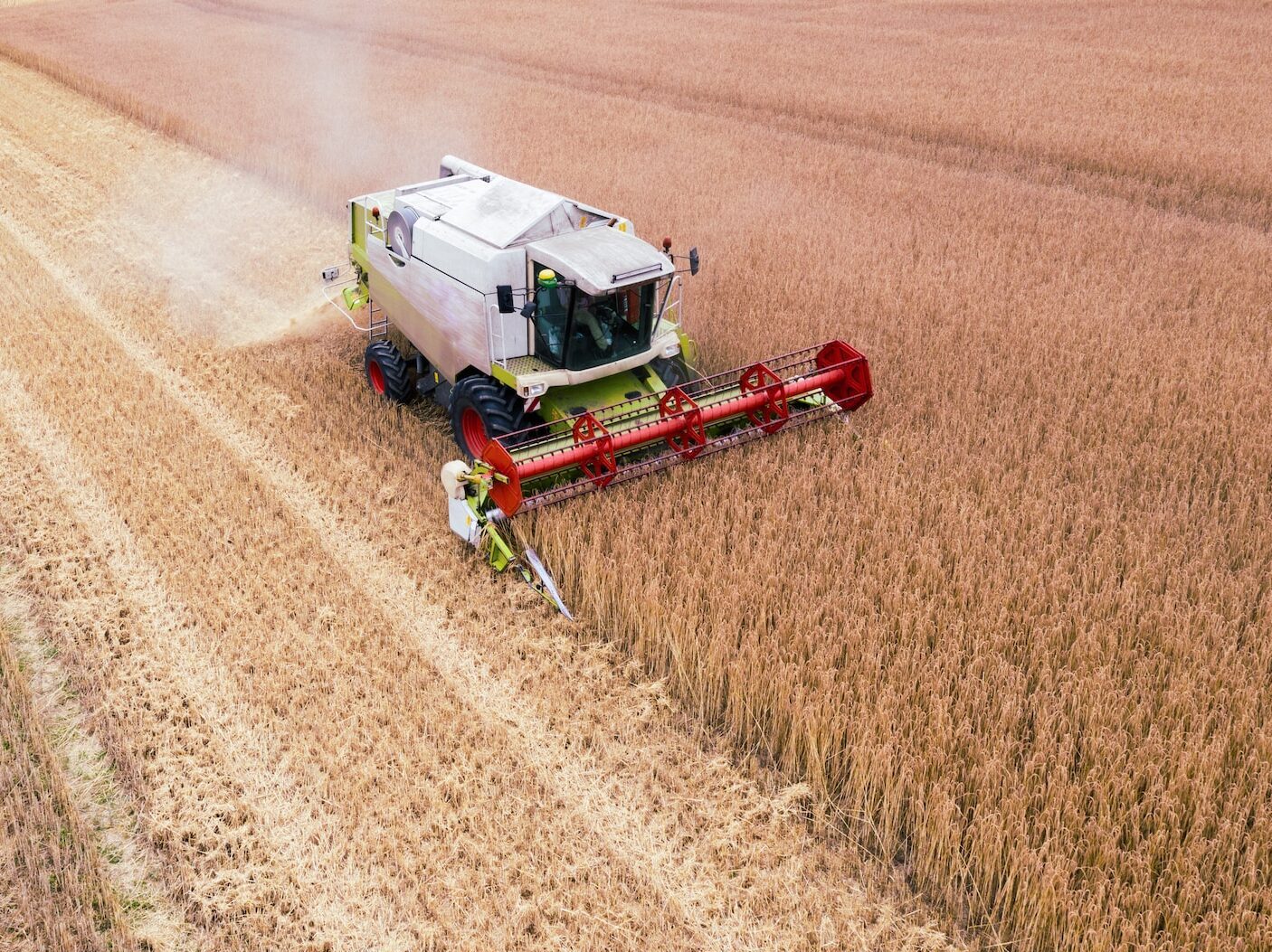 Přestože ceny obilovin výrazně klesly, pečivo nezlevňuje. Bochník chleba zdražil meziročně o 4,50 koruny