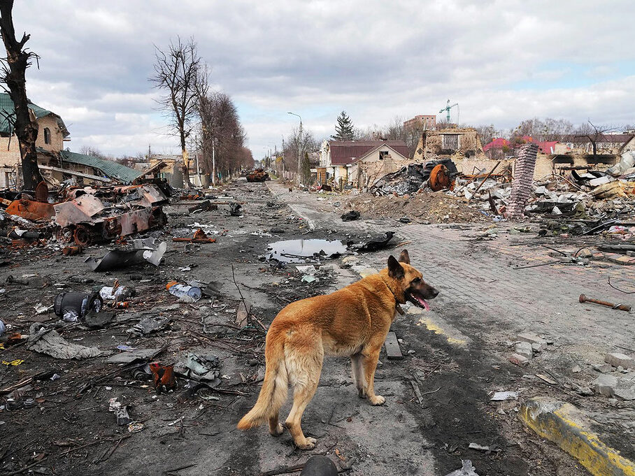 Obnova Ukrajiny bude stát stovky miliard dolarů. Země přišla o 8 400 kilometrů silnic či 10 % bytového fondu