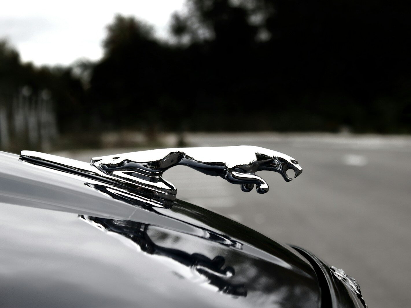 Jaguár přestává vyrábět auta na benzín a naftu. Prý na nich nevydělával