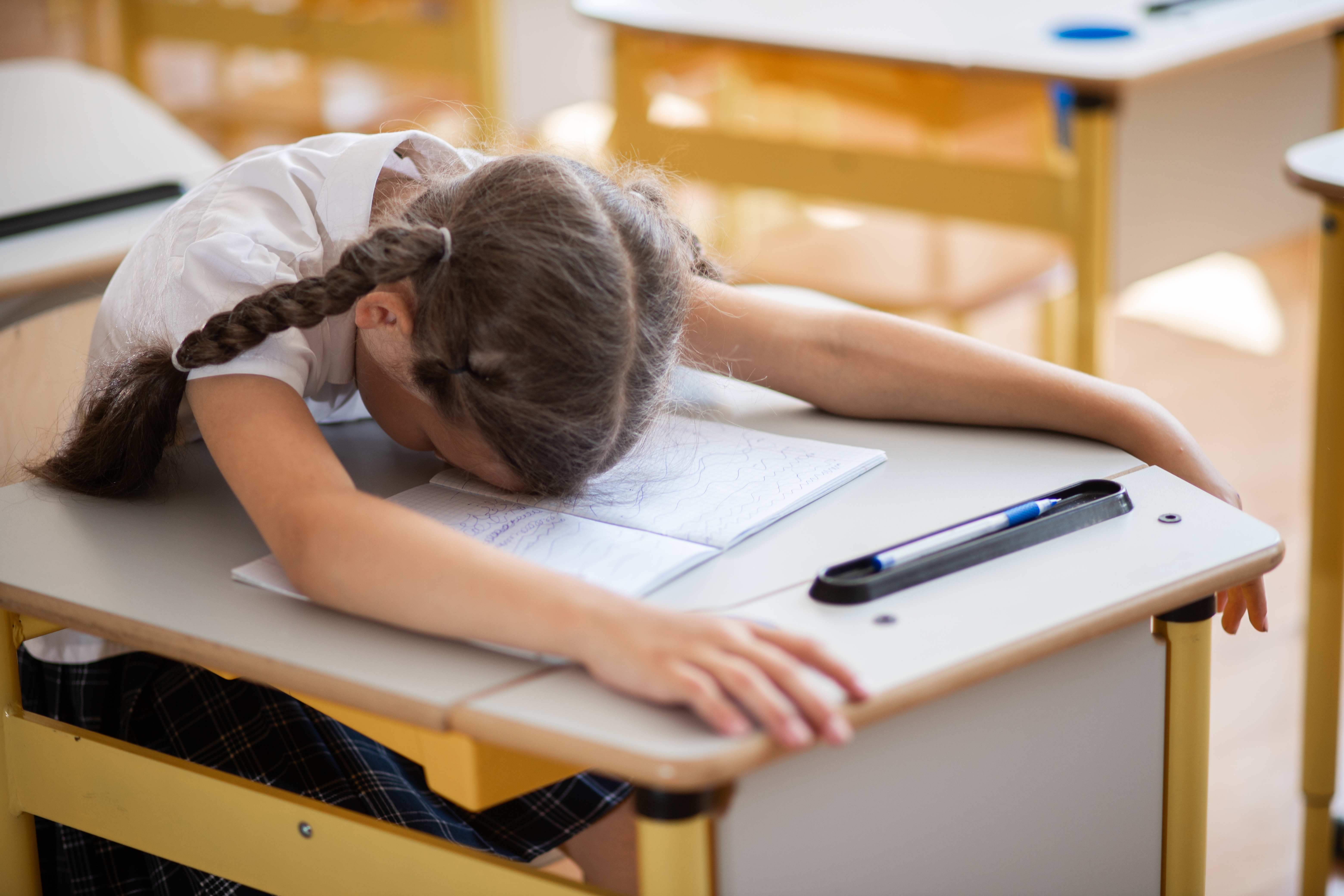 Kvíz, který zvládne každý chytrý Čech: Učivo prvního stupně základní školy