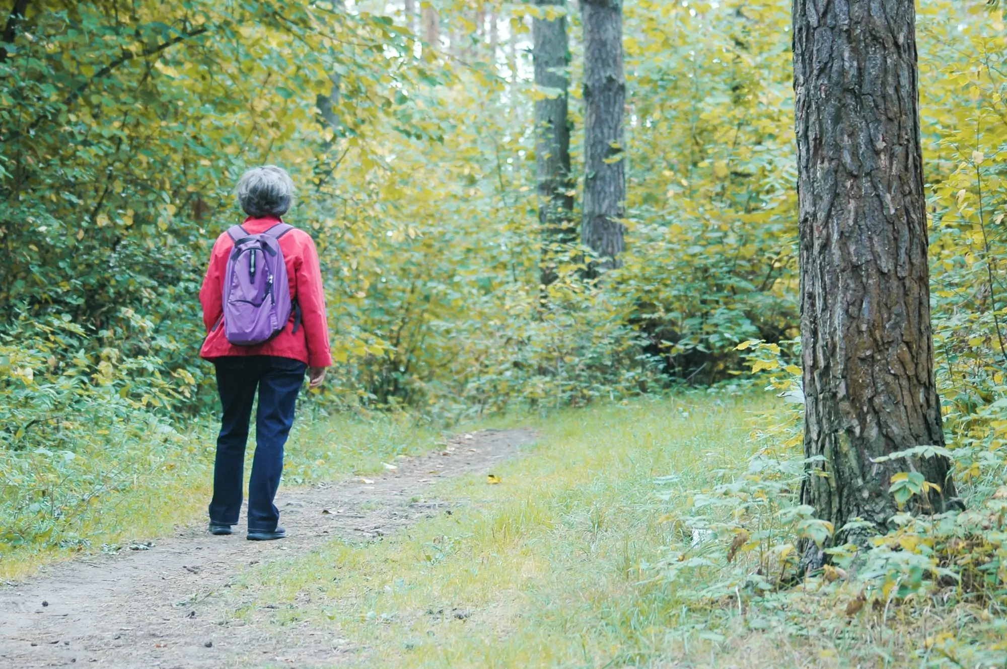 Star&scaron;&iacute; žena v lese