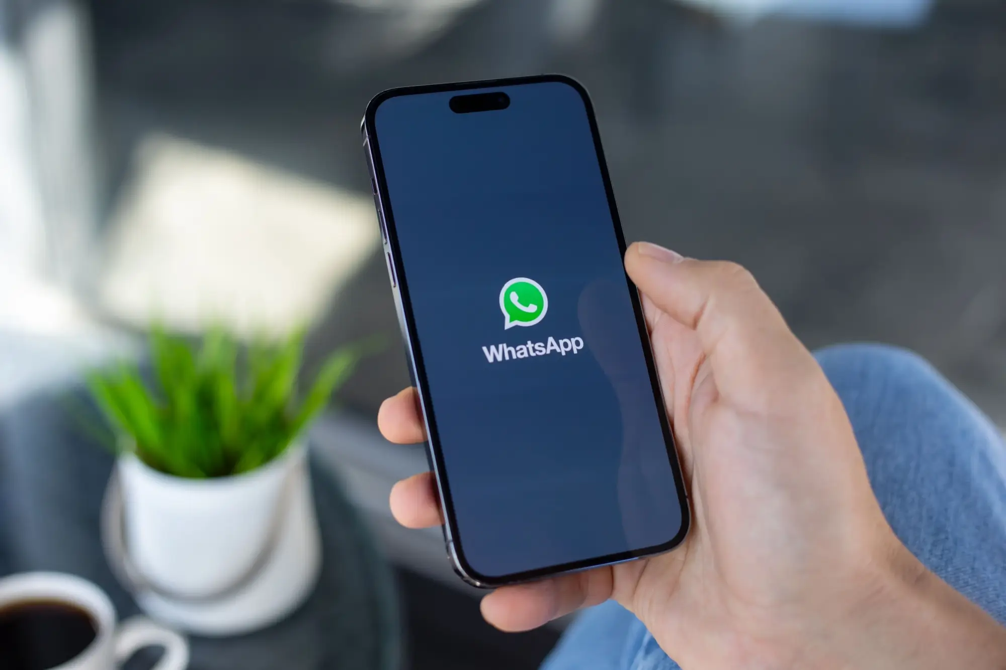 Aplikace WhatsApp na iPhonu