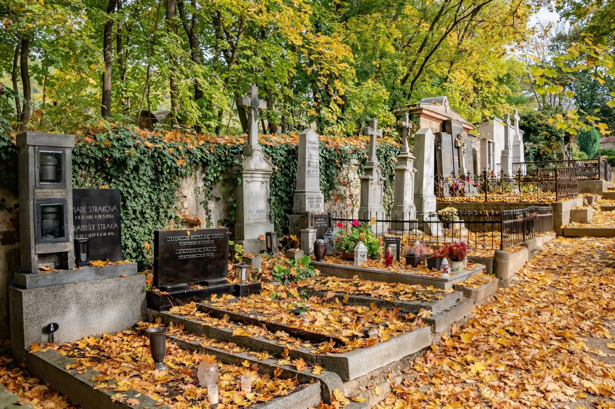 Hřbitov v Ivančic&iacute;ch