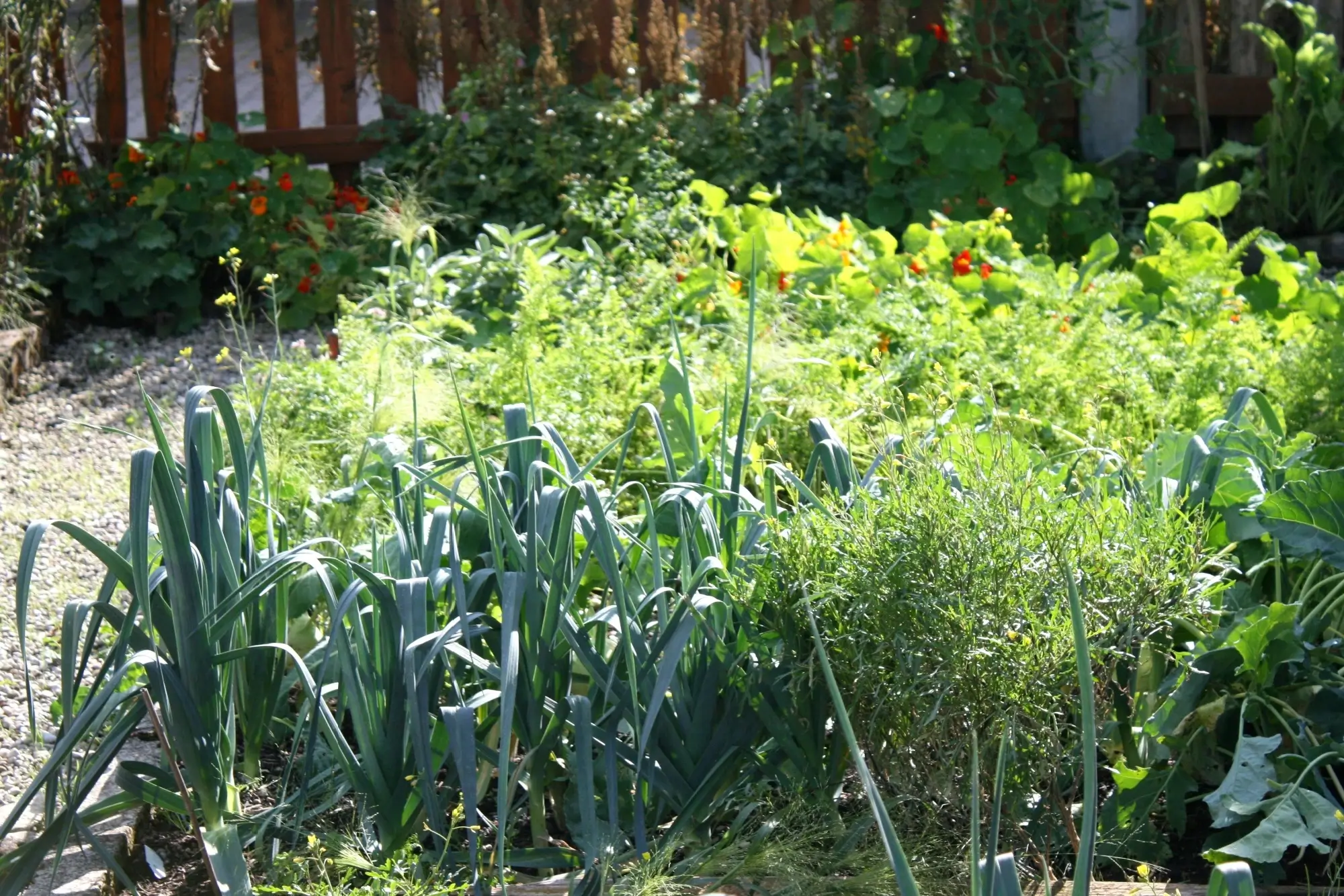 Zeleninov&aacute; zahr&aacute;dka