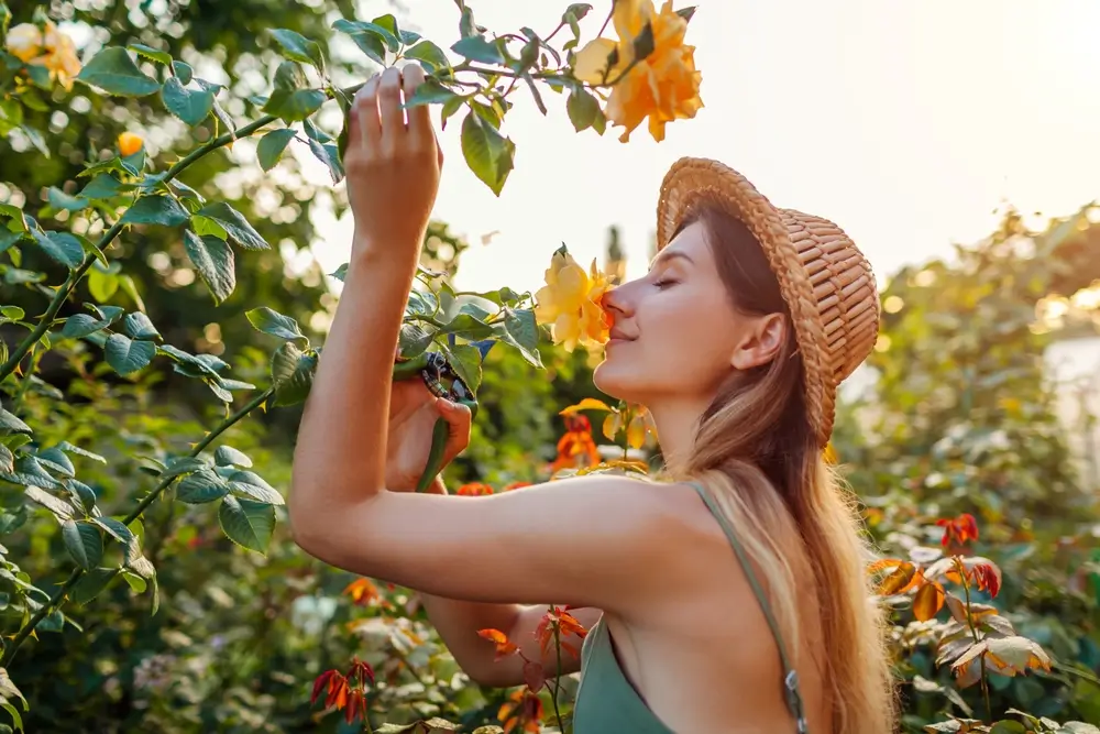 Počasí léto 2025: Meteorologové kroutí hlavou. Na to, co přinese červen, nejsme vůbec připraveni