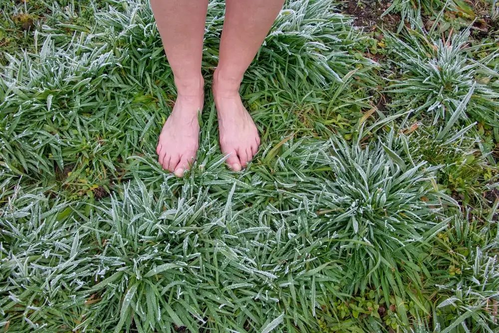 Žena stojí na trávě, která je opředená mrazem.