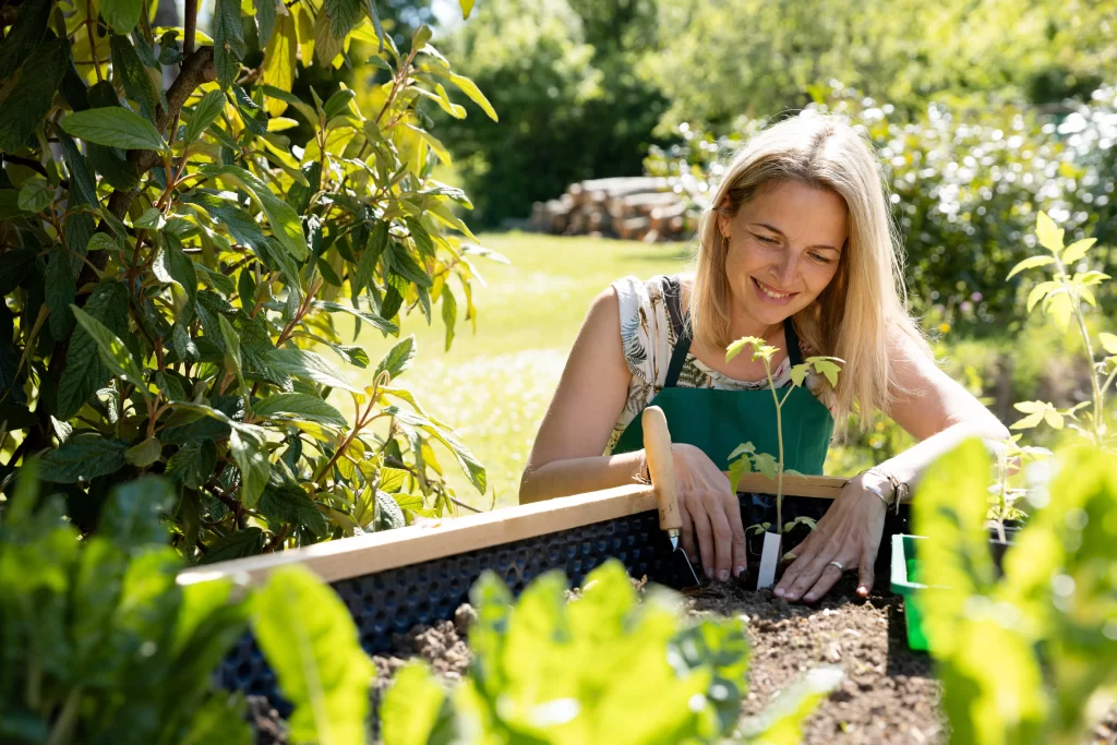 žena sází rostliny do záhonu
