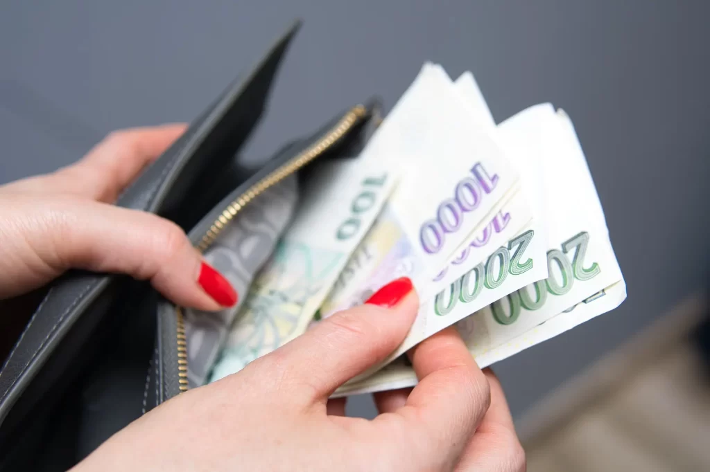 České koruny v peněžence