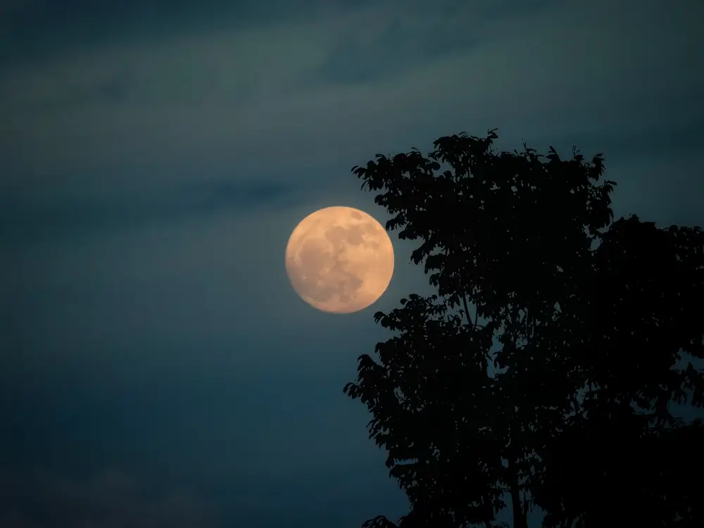 Hvězdy ukázaly prstem na toto znamení: Dveře k novému šťastnému životu se vám otevřou dokořán už v příštích dnech
