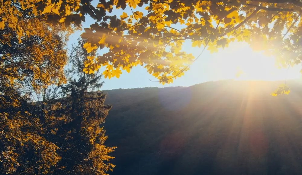 Slunce nad zalesněným kopcem. 