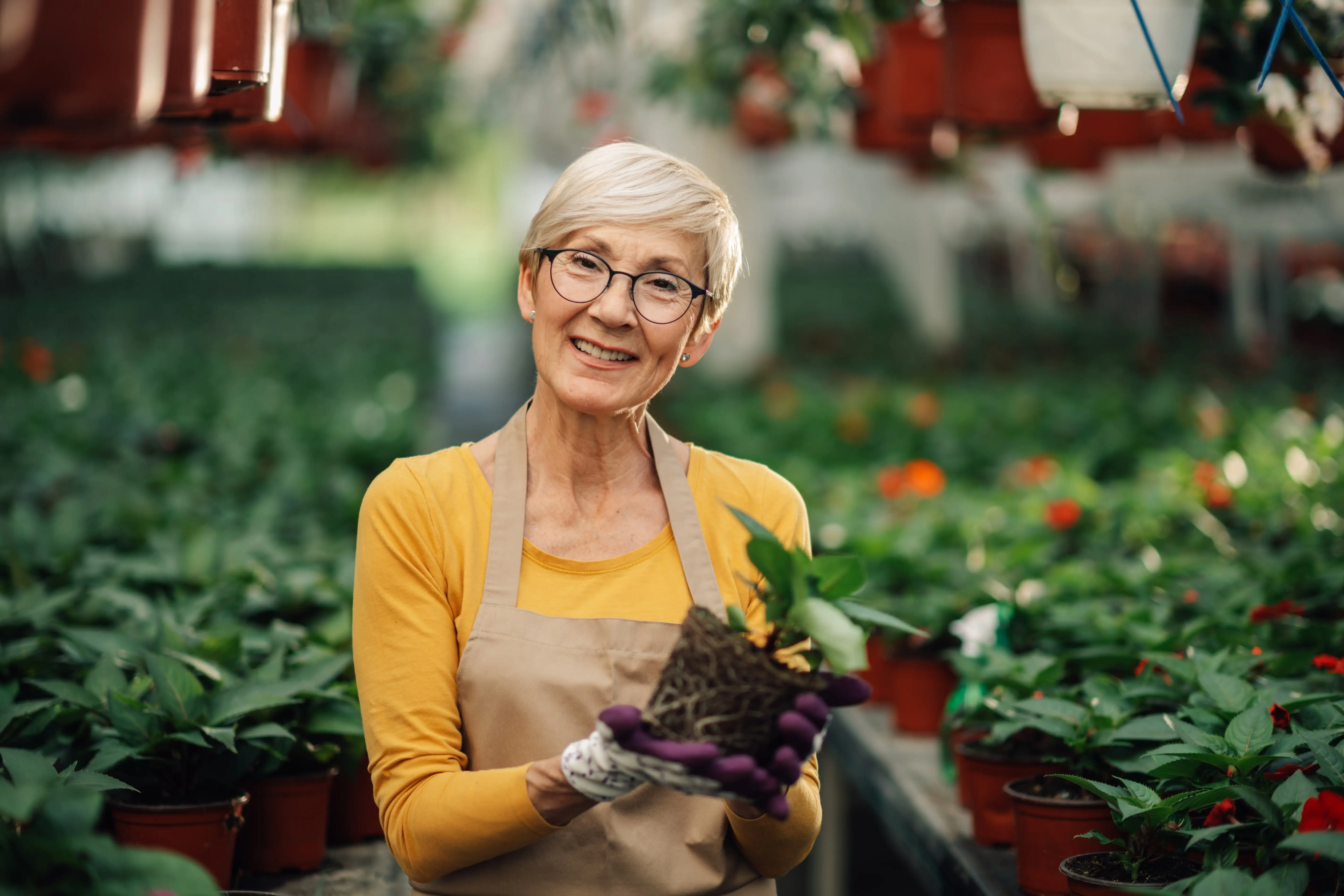 Soda, ocet nebo něco jiného? Tohle domácí kombo zatočí s nemocemi na záhoně