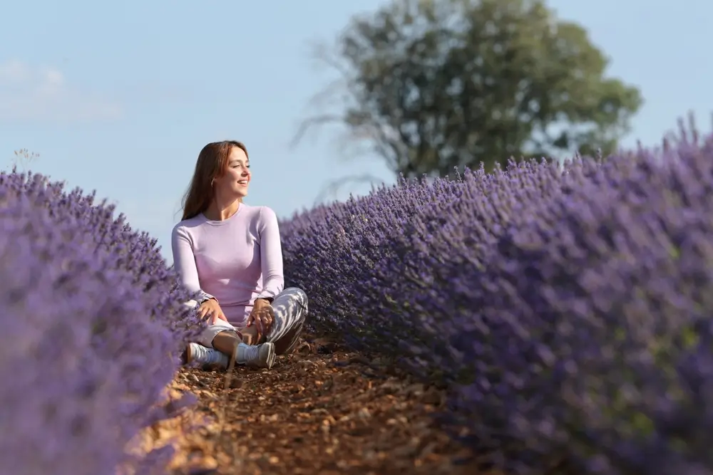 Co levandule nesnáší? Většina Čechů to dělá špatně a pak se diví, že jim nerostou