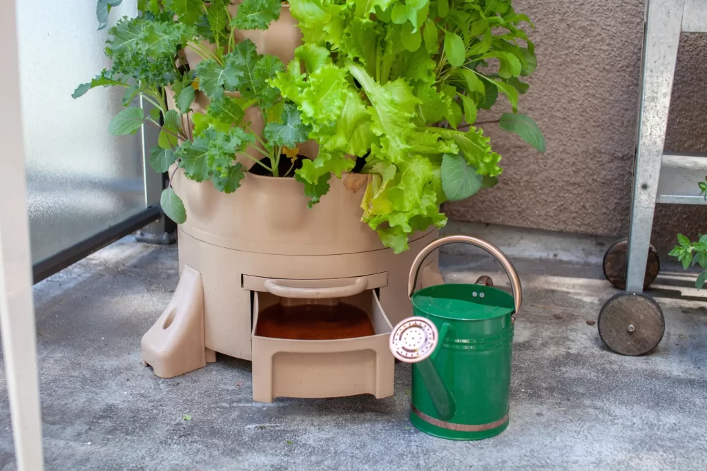 Ž&iacute;žal&iacute; čaj