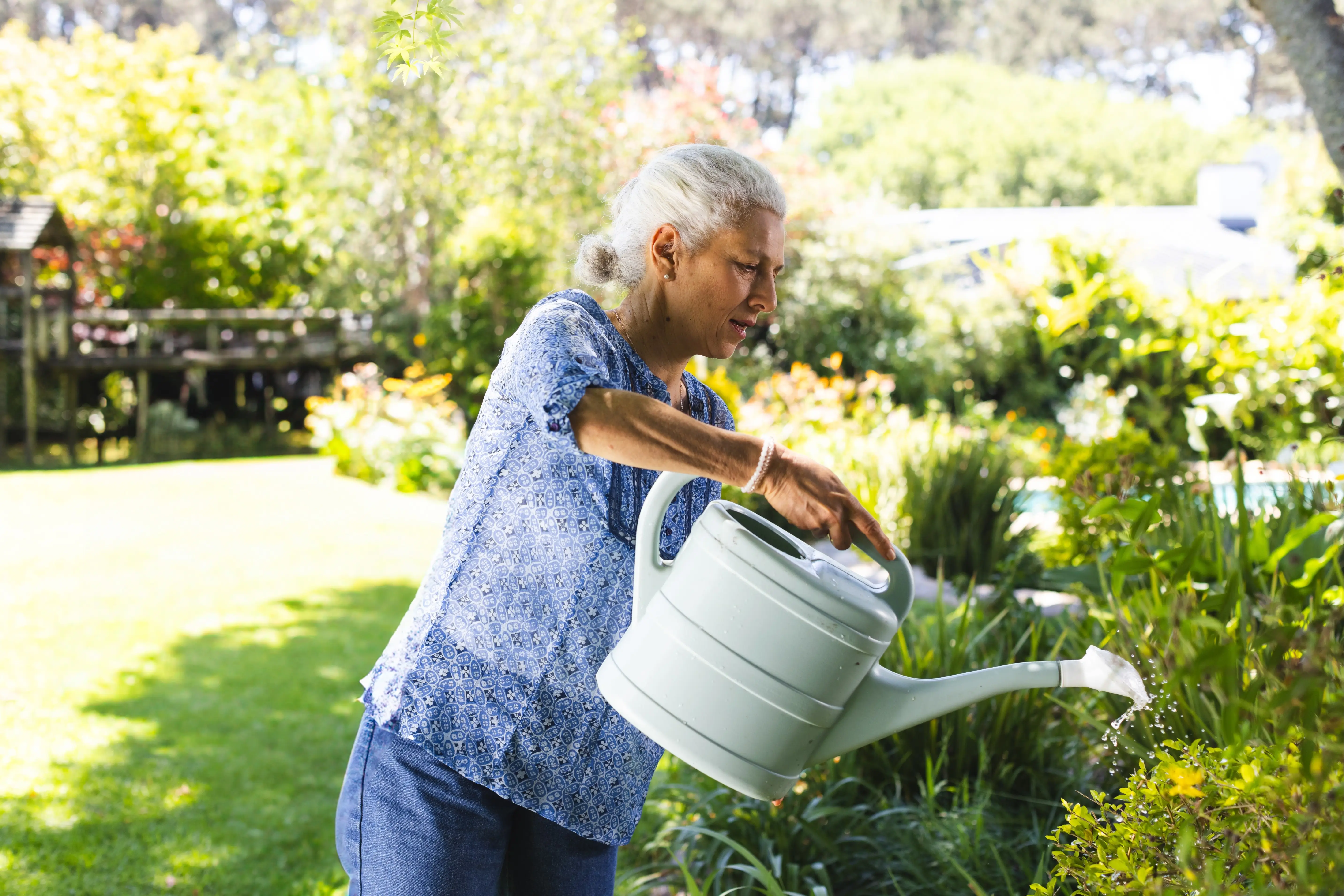 Léto bude peklo: Jak ochránit rostliny před vedrem? Pomůže obyčejná zástěna a trik s ledem
