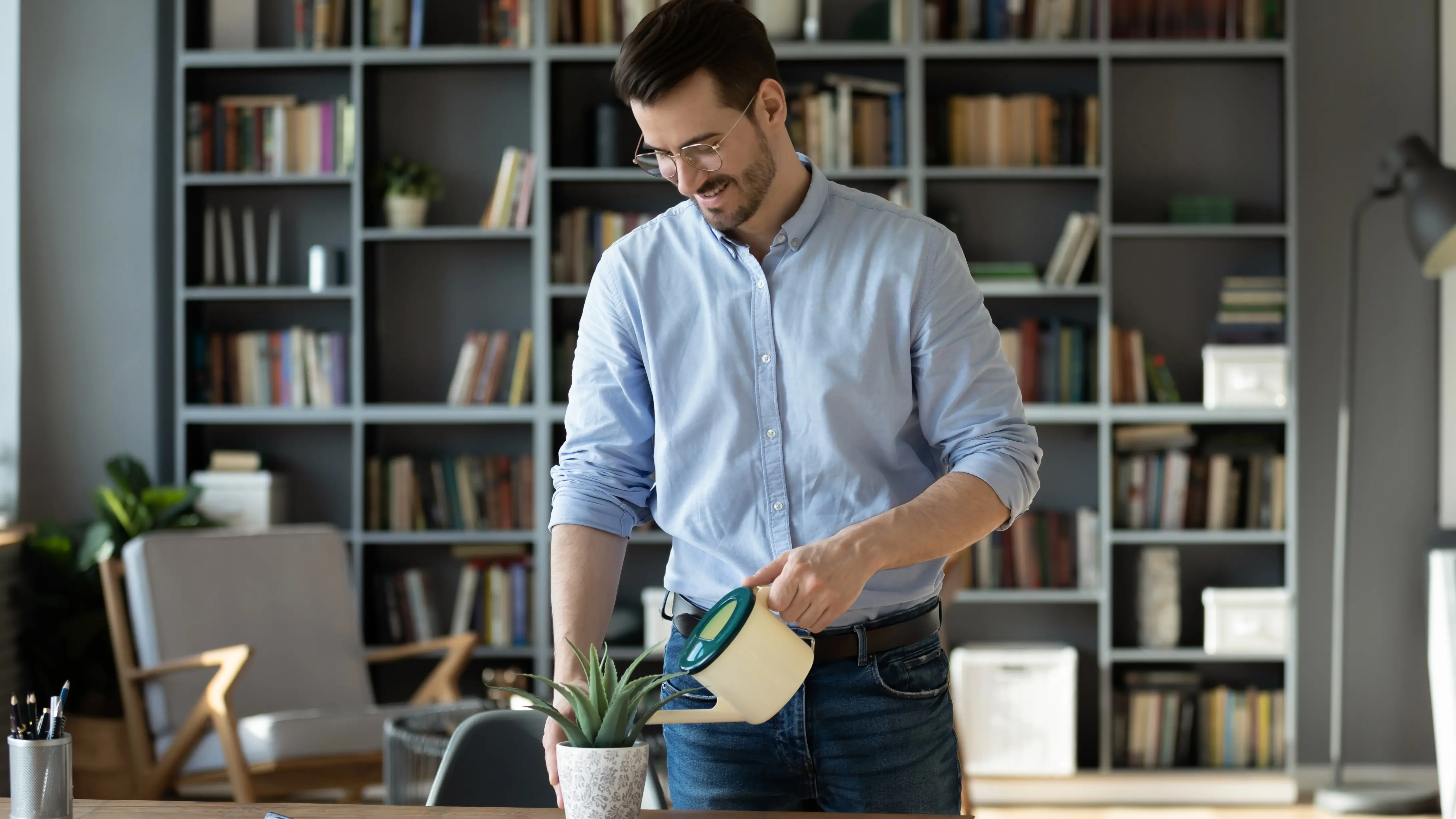 Zvadlá pokojovka? Stačí přiložit ubrousek a počkat 10 minut