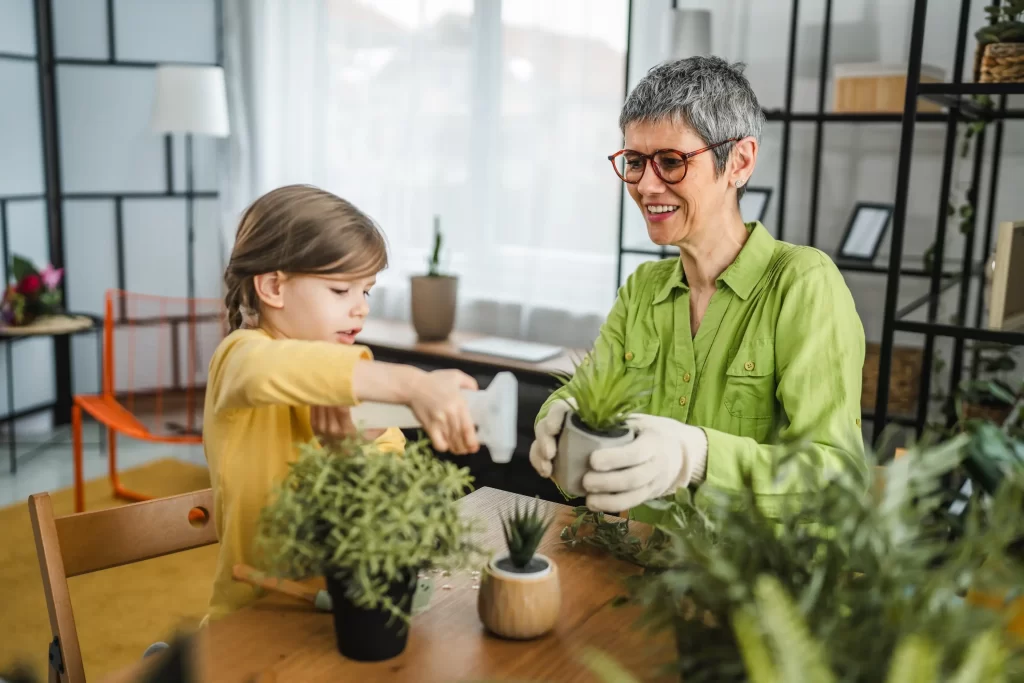 přesazování rostlin