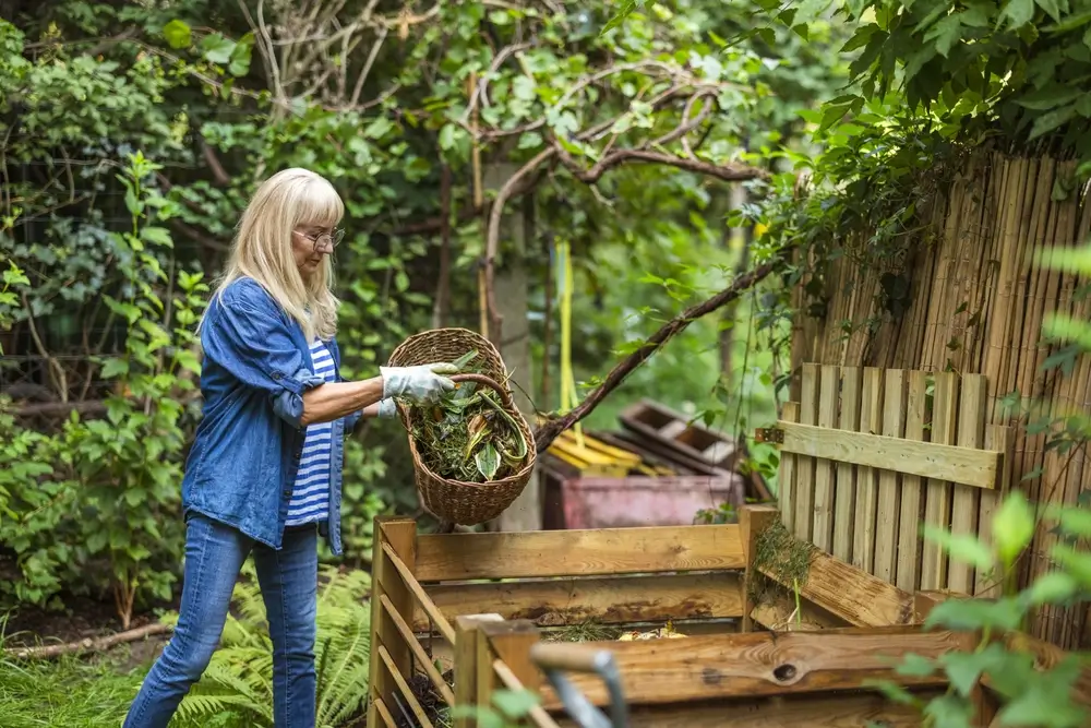 Co do kompostu nepatří a proč: Maso, kosti, citrusy a další časté omyly