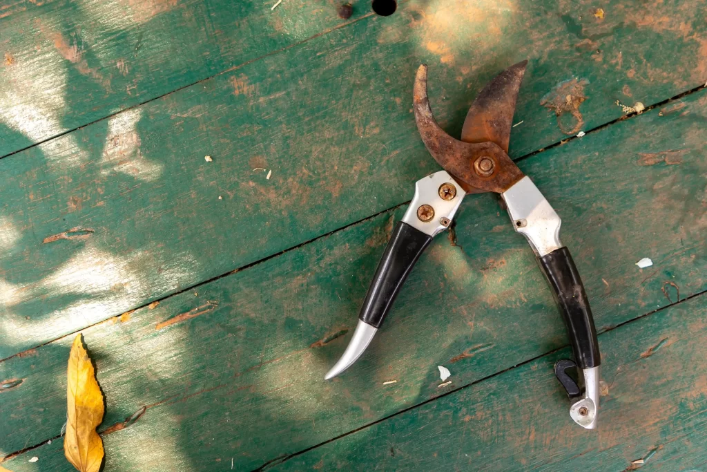 zahradnické nůžky