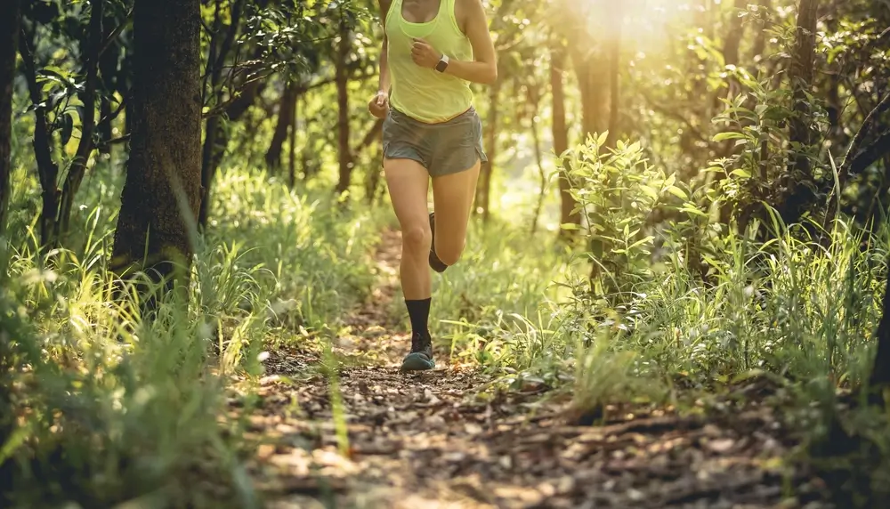 Žena běž&iacute; lesem.