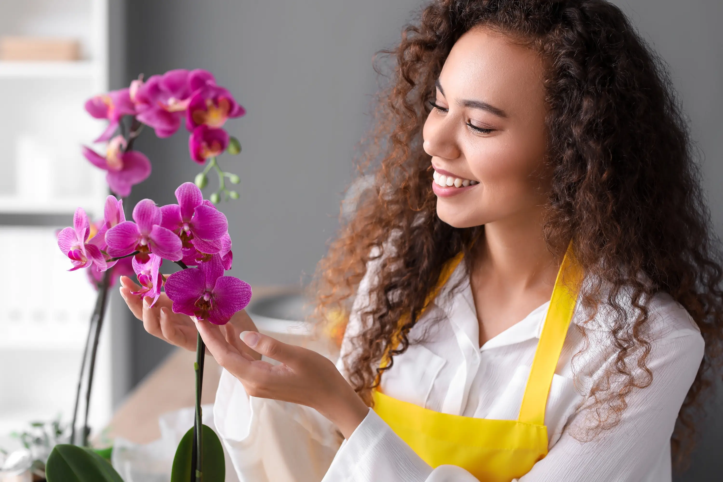 Aspirin pro orchideje: Nečekaný trik, jak podpořit růst, kvetení i odolnost rostlin