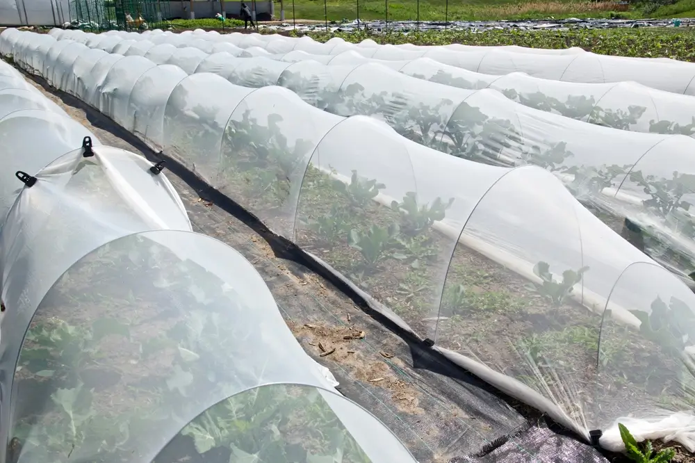 Ochranná síť nad úrodou.