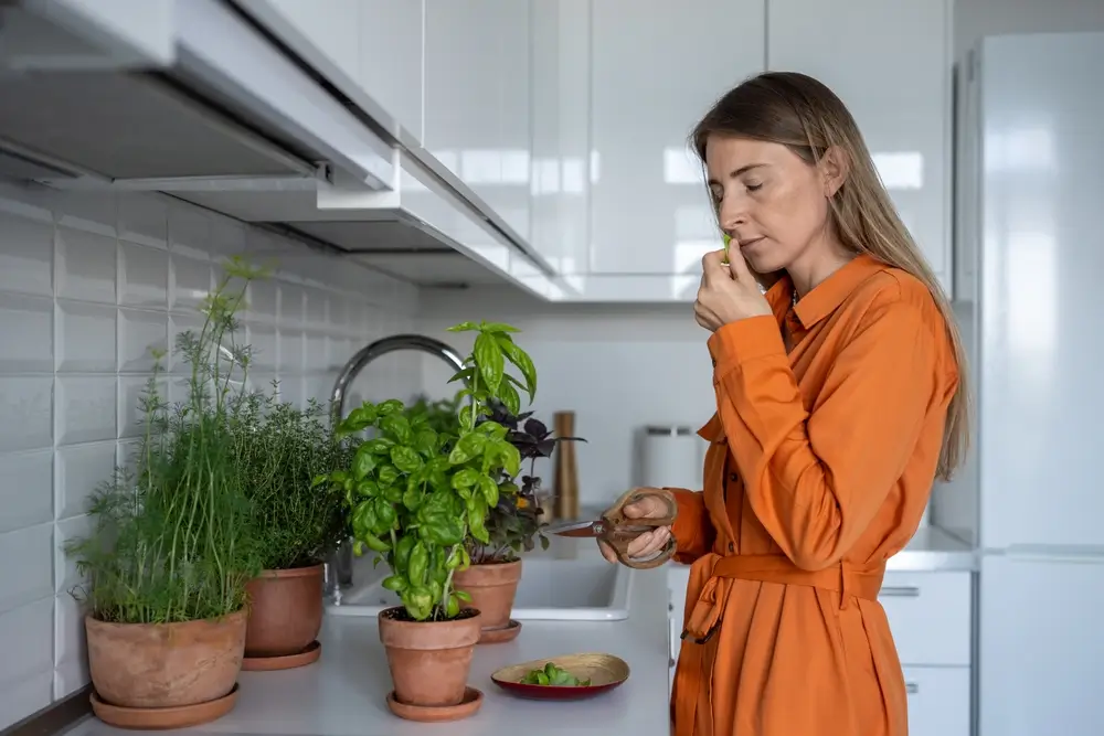 Žena si čichá k bazalce v kuchyni. 