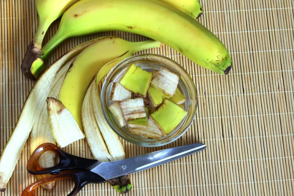 př&iacute;prava hnojiva z ban&aacute;nu