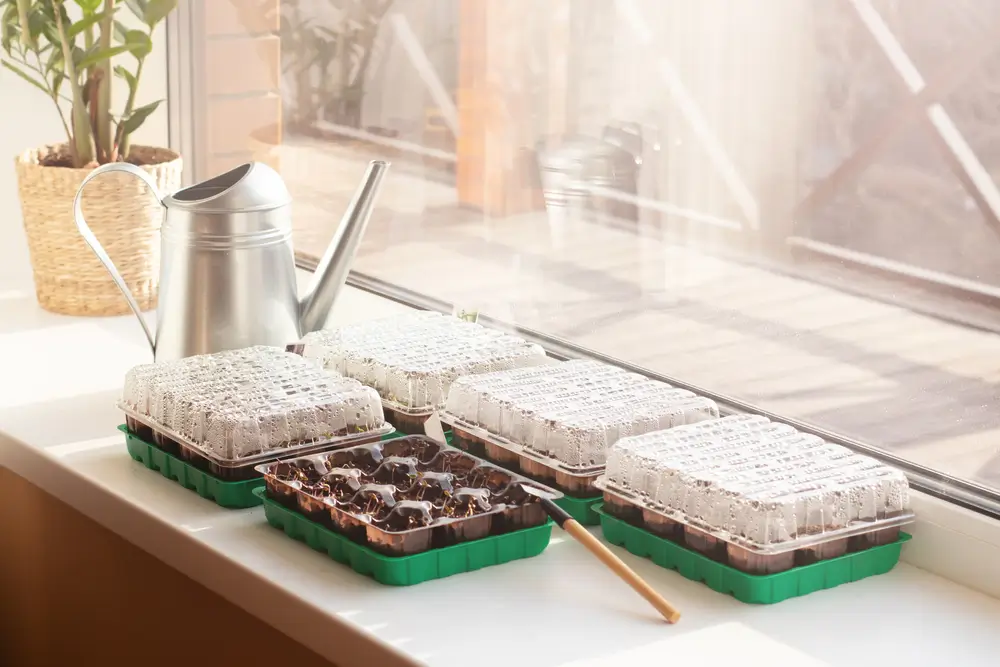 Minipařeniště na okně.