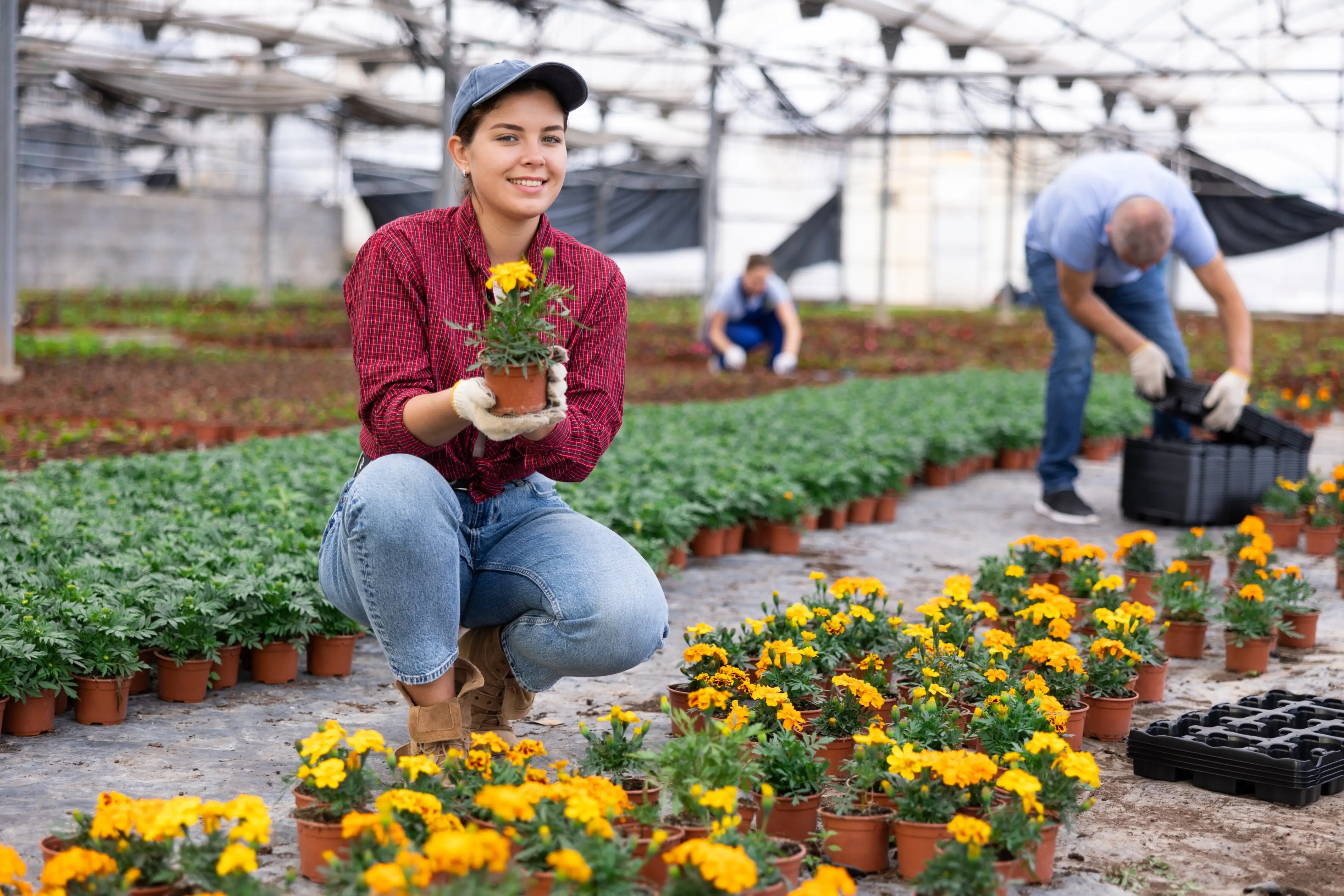 Zasaďte měsíček tam, kde vám nic neroste. Oživí půdu a přiláká užitečný hmyz