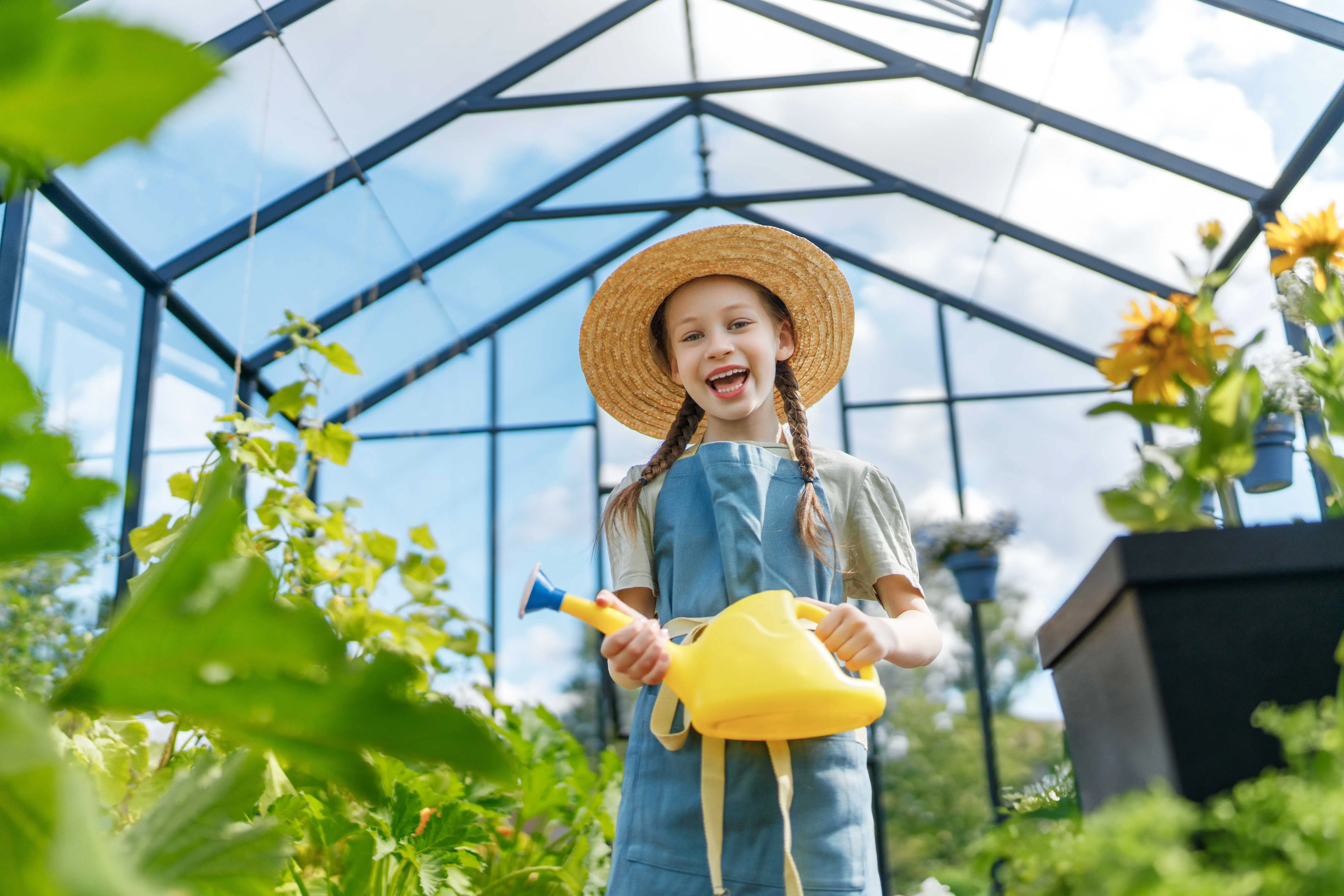 Vedro ve skleníku? Větrejte, zastiňte a zalévejte chytře
