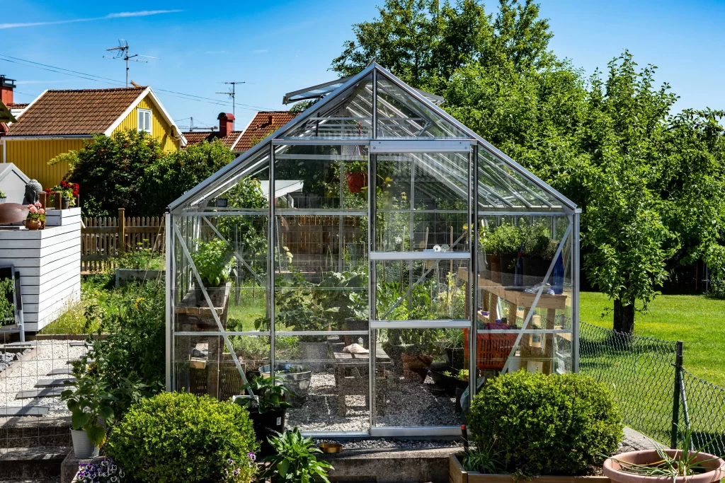 pěstov&aacute;n&iacute; ve sklen&iacute;ku