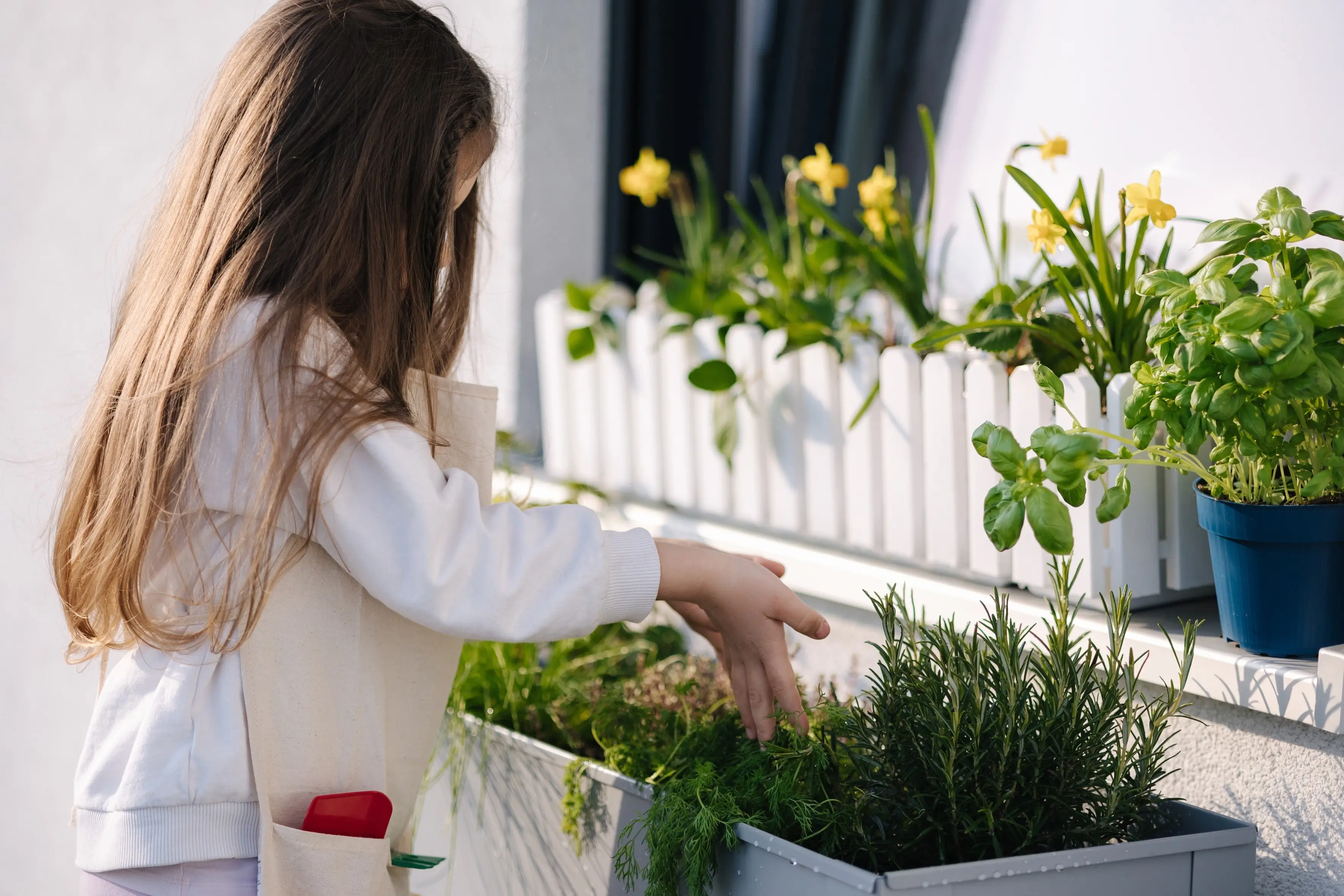 Dejte tymián ke dveřím: Trik našich babiček pro zdravý domov a dobrou energii