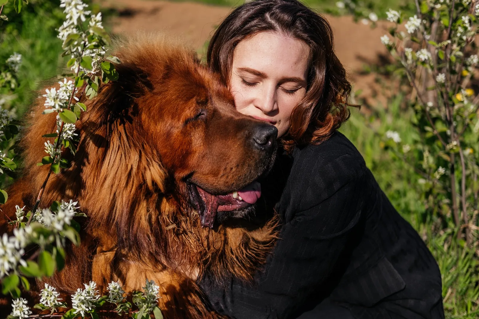 Toto je bezkonkurenčně nejdražší psí plemeno chované v Česku. Štěně stojí 2 000 000 Kč a roční náklady jsou 70 000 Kč