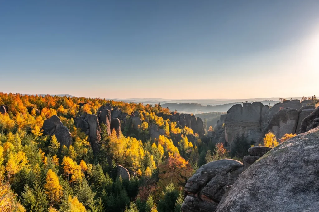 V&yacute;hled na les ze skaln&iacute; vyhl&iacute;dky