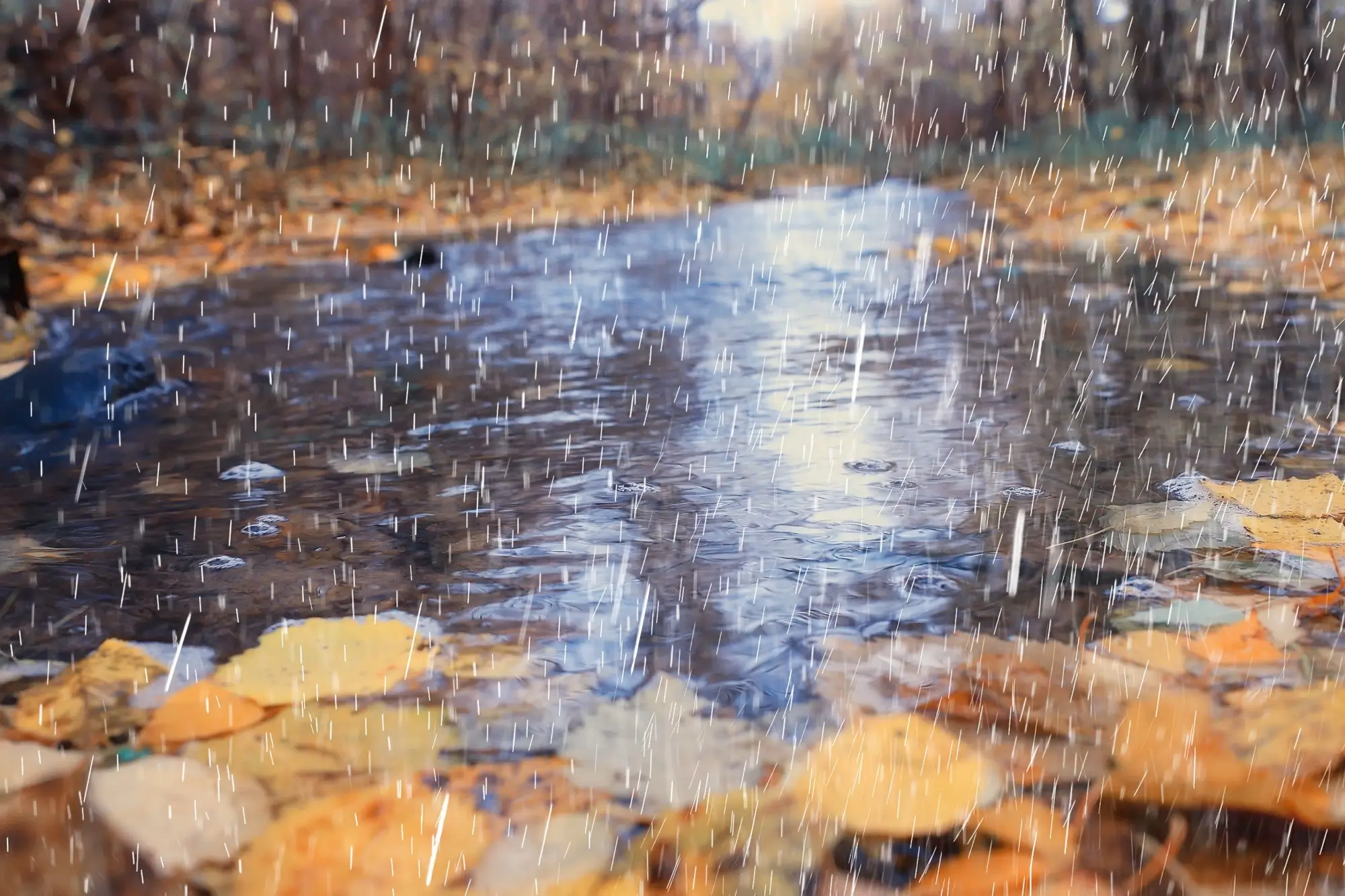 Z počasí na příští týden vstávají vlasy hrůzou. Raději zrušte plány. Zvláště víkend bude kritický