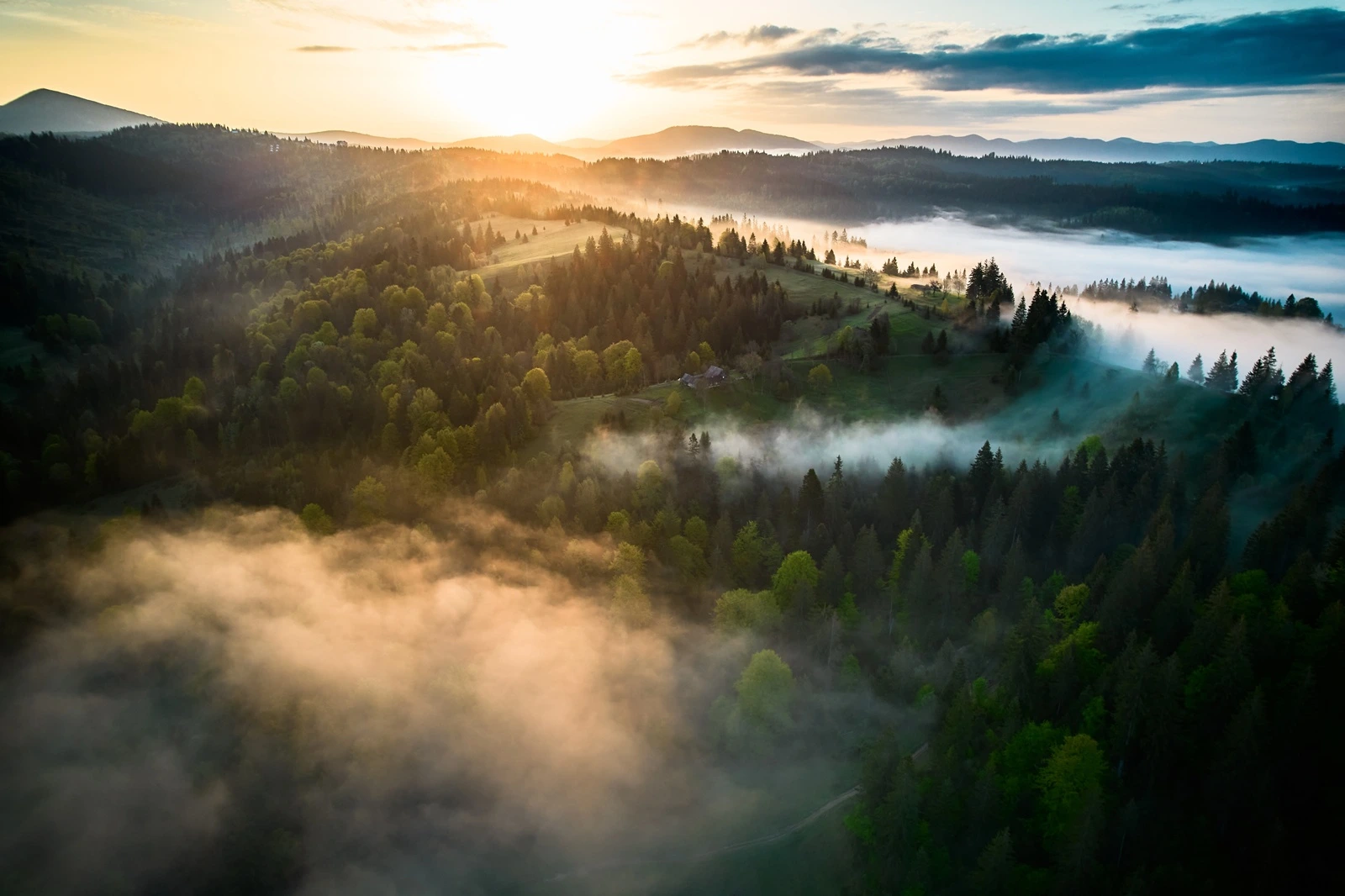 Tichá hrozba míří do Česka. Němci vztyčili varovný prst. Je to postihlo v plném rozsahu, teď přišla řada na nás