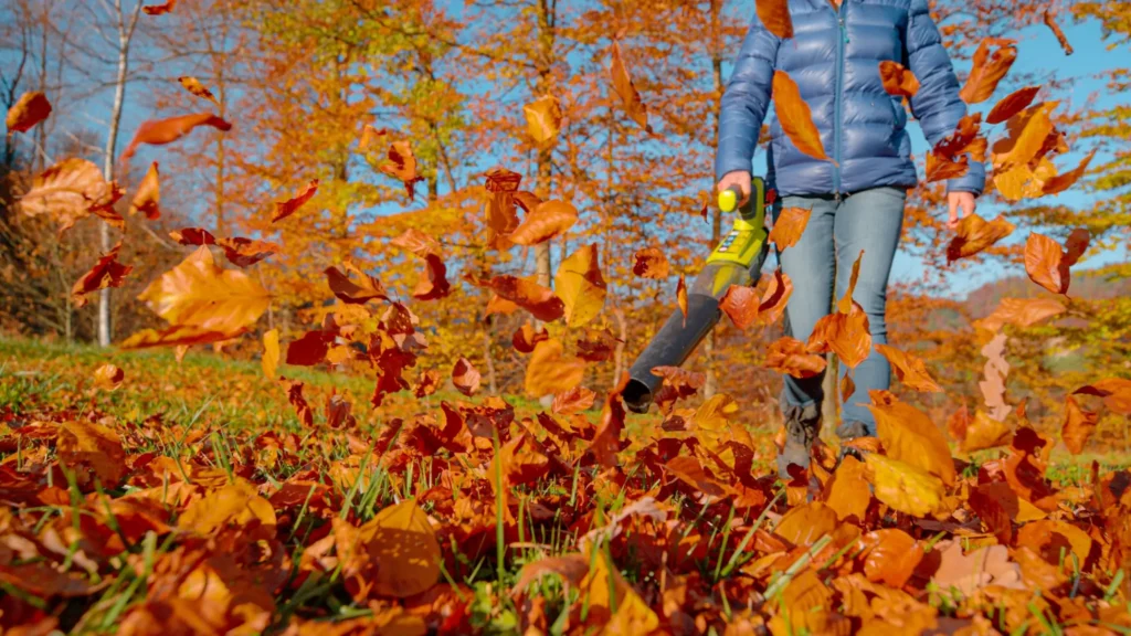 Zbavte se nekonečn&eacute;ho list&iacute; rychleji a sn&aacute;ze. 