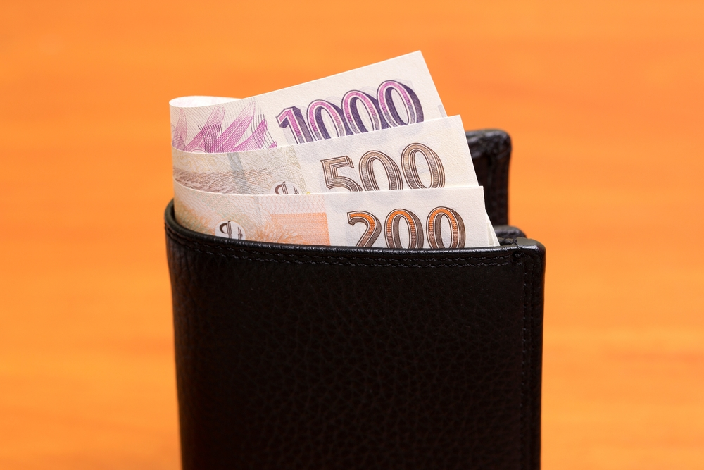 peněženka s českou hotovostí