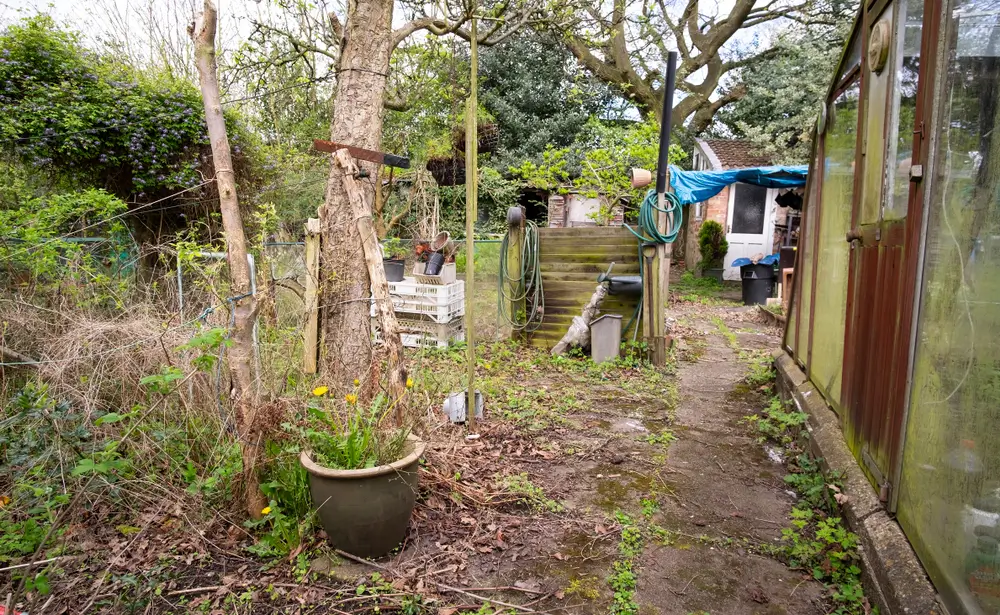 Kdo si na podzim neuklidí na zahradě, dostane 50 000 pokuty. Právě začaly zpřísněné kontroly