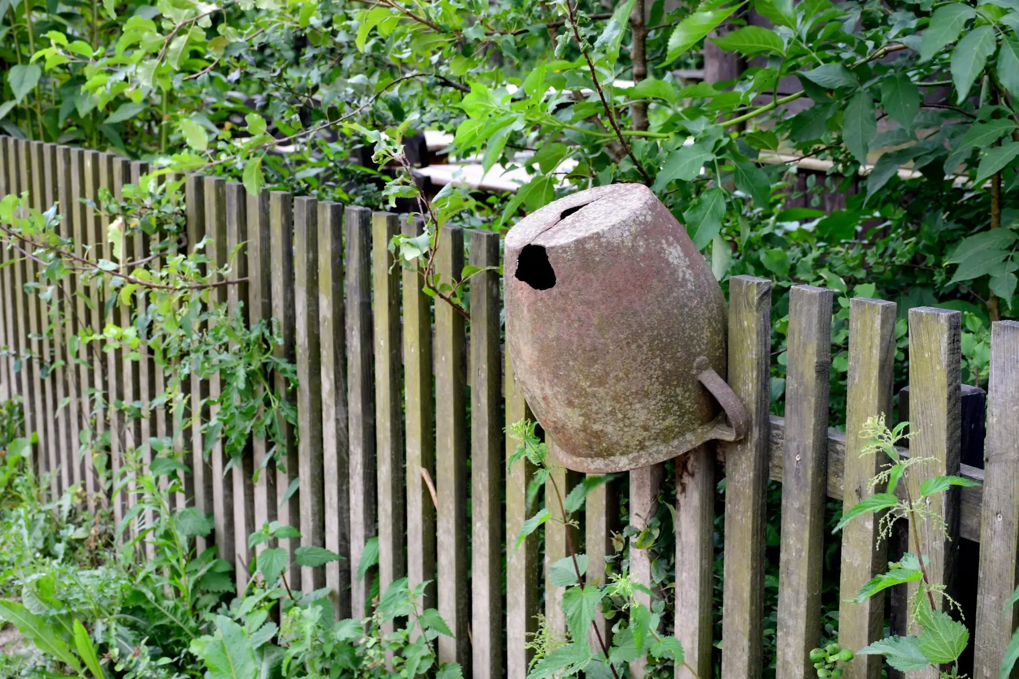 Kdo se stará o plot mezi sousedy a kdo hradí opravy: Může vzniknout problém, ale zákon hovoří jasně