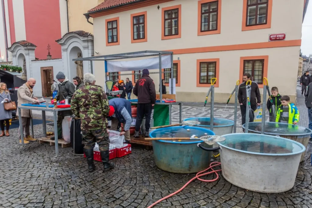 Prodejci kaprů obsluhují zákazníky u venkovního stánku s káděmi na náměstí