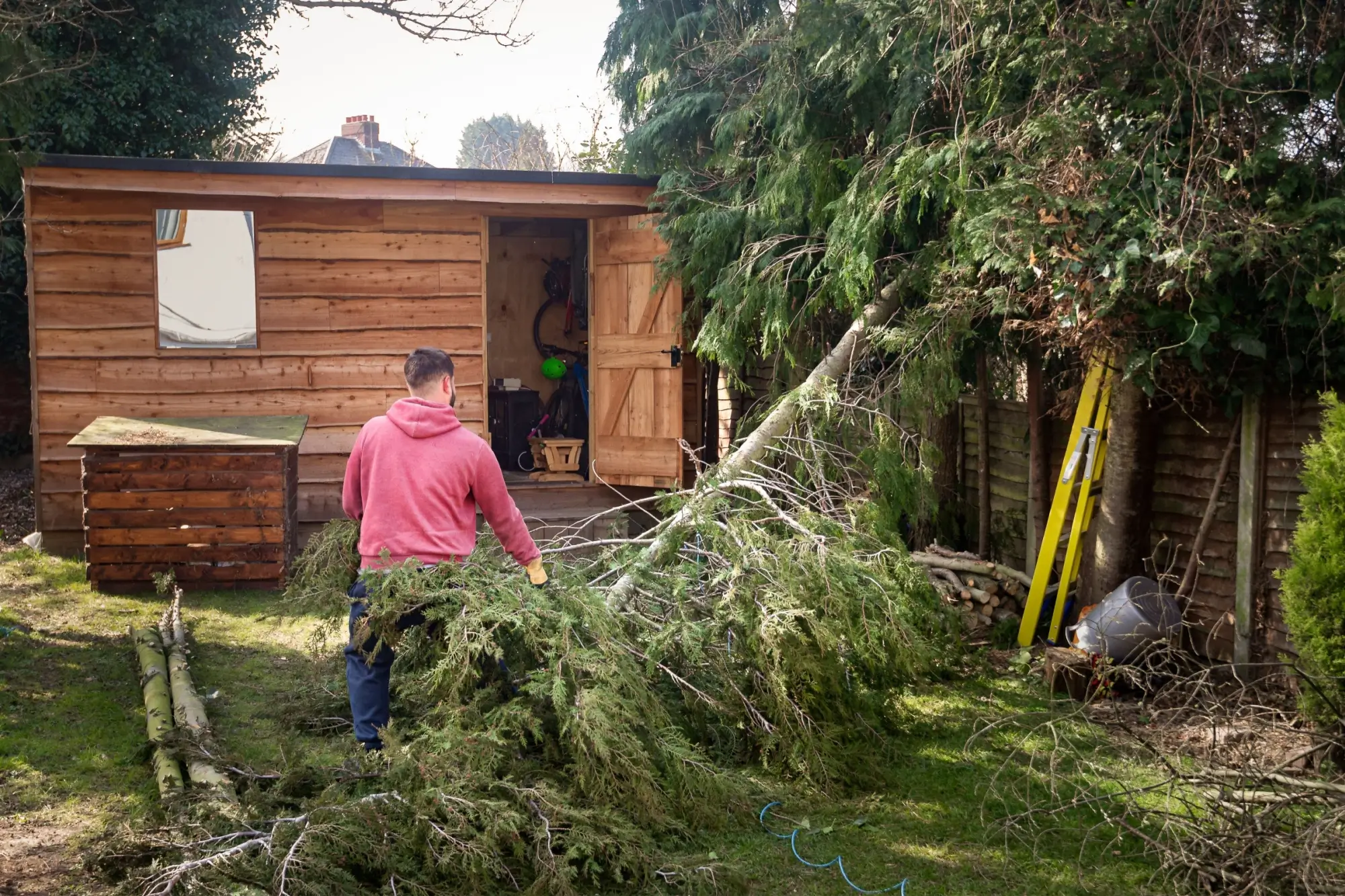 Nepovolené kácení může vyjít pěkně draho.