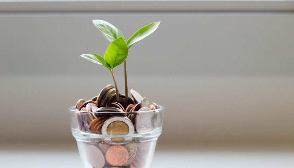 green plant in clear glass cup