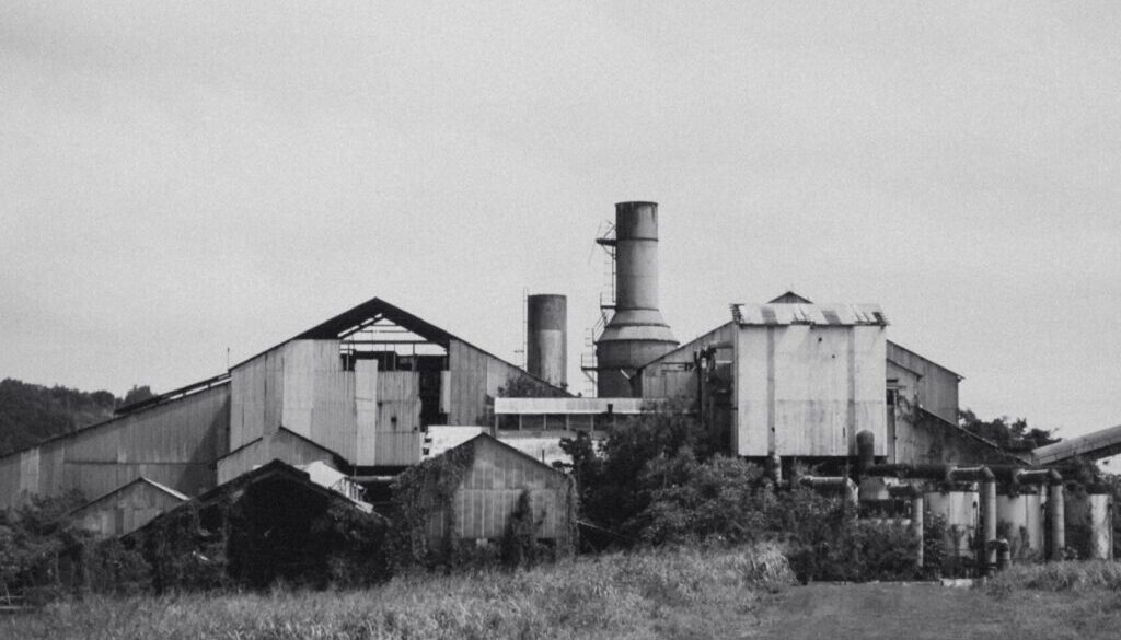 grayscale photo of houses and field