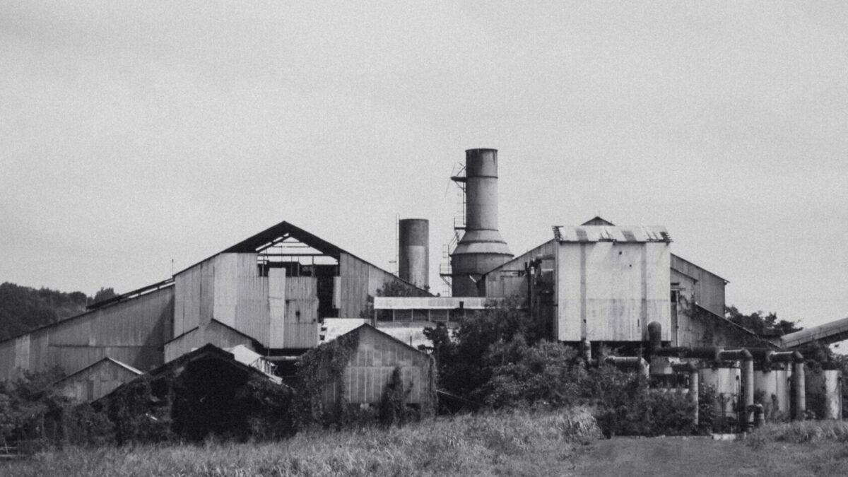 grayscale photo of houses and field